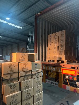 Carbon Steel Wire Material White Wire Hangers 500pcs Per Carton Suitable for All Types of Clothing