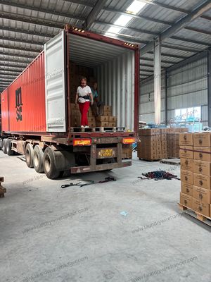 Blue Color 16 Inch Dry Cleaner Hanger For Dry Cleaning Shops Modern Type